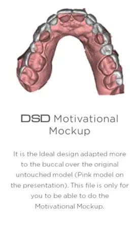 DSD Motivational Mockup – Pani Agata